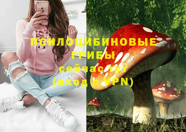 эйфоретик Алексеевка