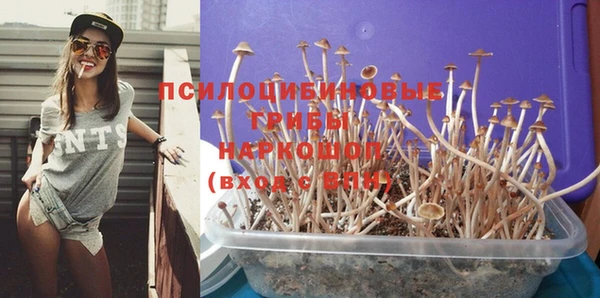 каннабис Алзамай