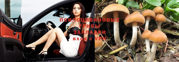 каннабис Алзамай