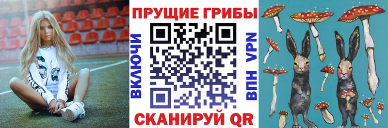 Псилоцибиновые грибы Psilocybine cubensis  сколько стоит  Ахтырский 